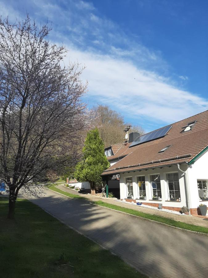 Der Perfekte Ausgangspunkt Apartment Konigerode Luaran gambar