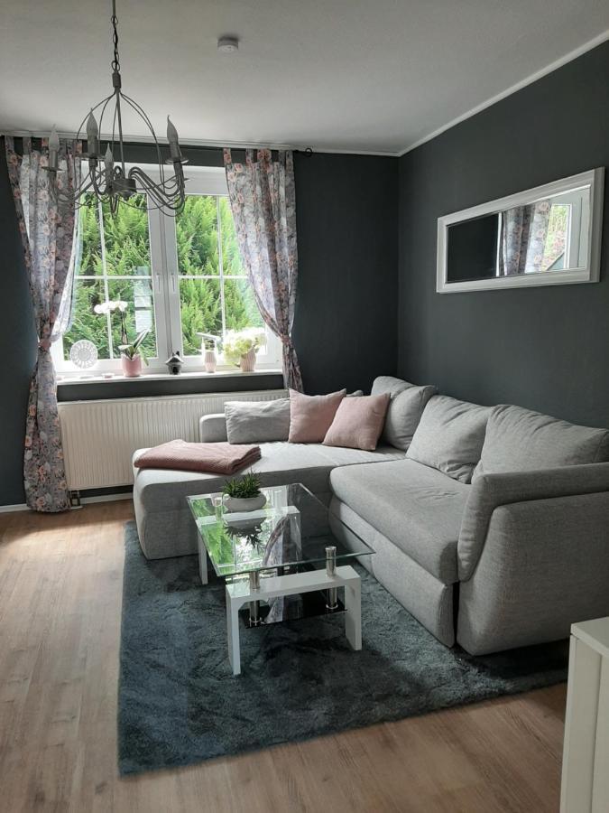 Der Perfekte Ausgangspunkt Apartment Konigerode Luaran gambar