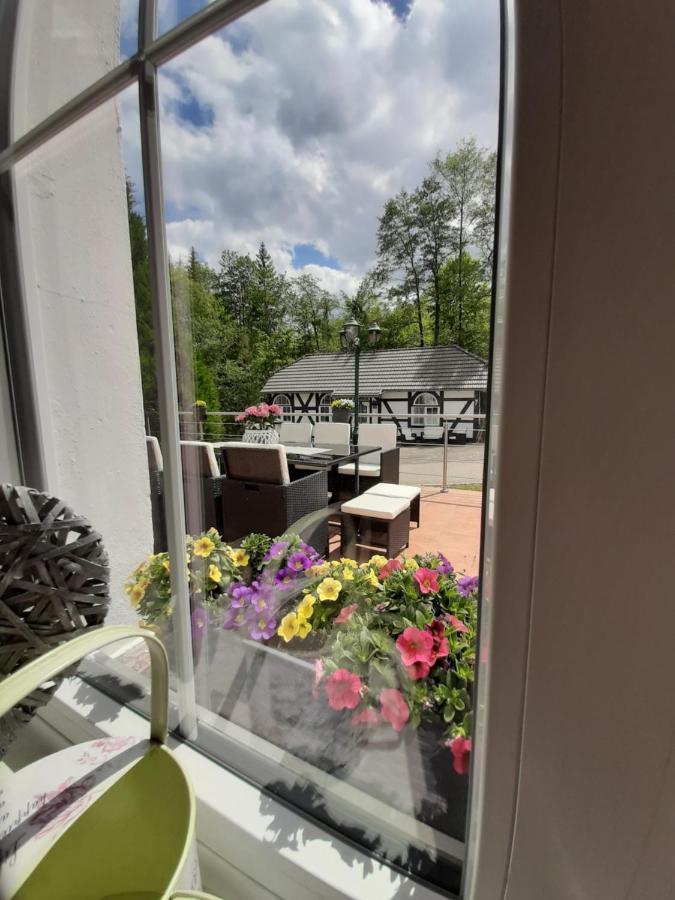 Der Perfekte Ausgangspunkt Apartment Konigerode Luaran gambar